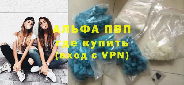 индика Абинск